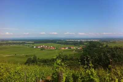 Image de 2 pièces au centre Alsace sur la route des vins