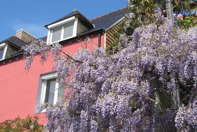 Image de Location Appartement 4 à 5 pers Vacances Quimper