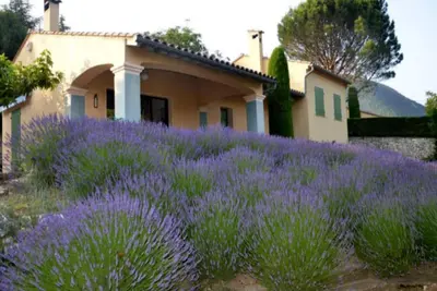 Image de Villa Feel Home - Domaine des Flacheres