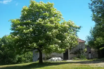 Image de Ferme Quercynoise authentique au coeur du vignoble de Cahors