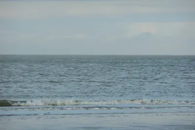 Image de Heist, appartement avec vue transversale sur la digue, les dunes et la mer