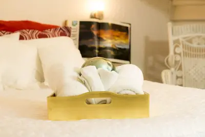 Image de Garden House, Bienvenue Dans Le Quartier De San Angel