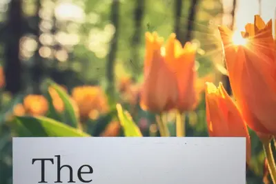 Image de Lieu chaleureux où vous pourrez profiter de la nature et rajeunir votre esprit, votre corps et votre âme.