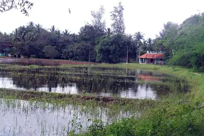 Image de L'appartement Lake-Shore