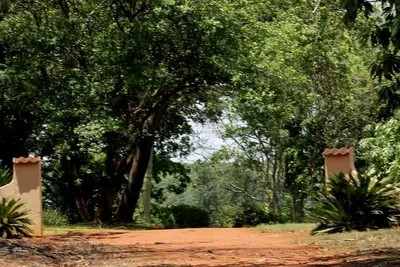 Image de Spacieux 4 chambres, 3. 5 salle de bain sur une ferme d'avocat en activité.