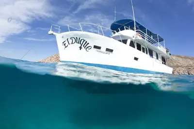 Image de El Duque Adventures dans la mer de Cortez et au-delà