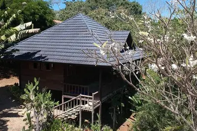 Image de Votre meilleure option de vue sur la jungle et l'océan à Montezuma!