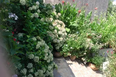 Image de Paiz Home - Près de la plage principale et du centre-ville