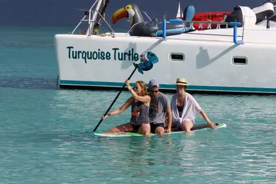 Image de Catamaran Turtle Turtle
