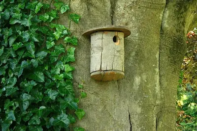 Image de Bangsar confortable et convivial