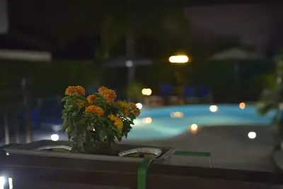 Image de « Eden Maison de vacances Pompéi » Piscine privée et jardin. Appartement 2