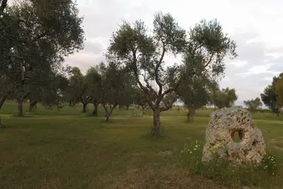 Image de Masseria Mauriani 1623-La-Tour Appartement dans une ancienne ferme