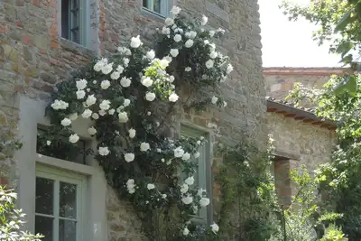 Image de Arrêtez-vous et restez dans le Chianti! Le bracconiere