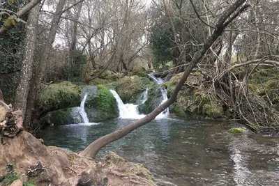 Image de Maison Rurale Nacimiento Del Hueznar -Tomillo 17