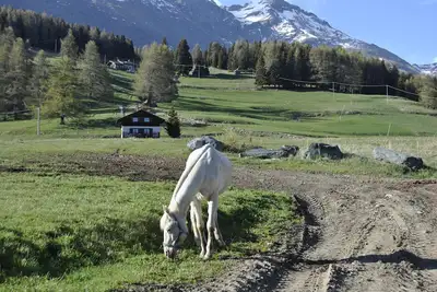 Image de Maison dans les prés de Barmasc