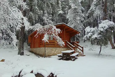 Image de El Llano de los Conejos Cabines - Cabane 5