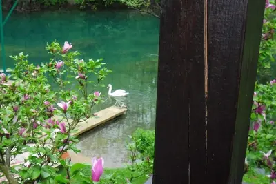 Image de Maison de vacances \"Sonja\" sur la rivière Mrežnica pour des vacances reposantes ou actives