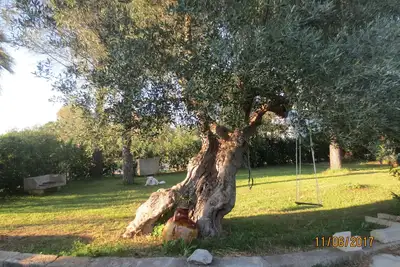 Image de Petite maison Ă la campagne, la petite \"Cornula\", Salento