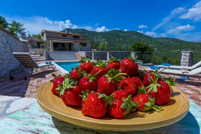Image de Villa Rustica Duge Njive