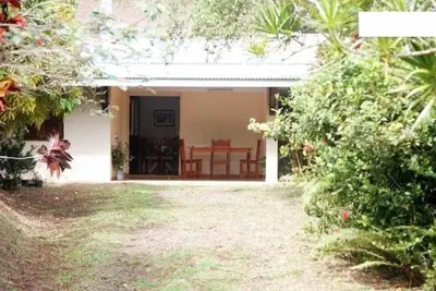 Image de Hibiscus and its large terrace
