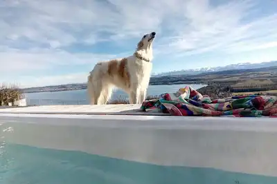 Image de Appartement grande terrasse avec vue du lac et des Alpes et 2e chambre en option