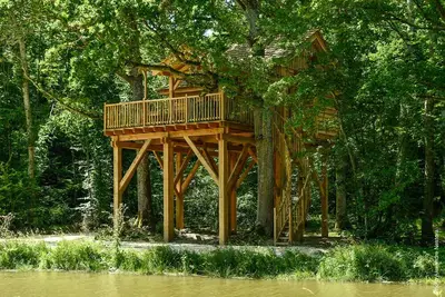 Image de Cabane De Luxe Avec Spa Dans Les Arbres