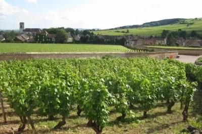 Image de Maison de village, récemment rénové, avec vue sur les vignes de Pommard