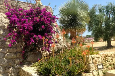 Image de Tricase Porto: Appartement - Tricase Porto