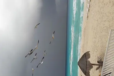 Image de Bel appartement face à la mer