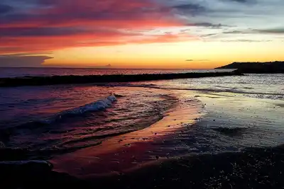 Image de La maison du chat