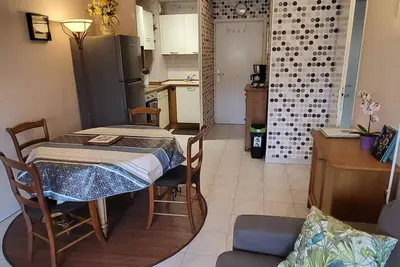 Image de Appart T2 climatisé, Wifi Fibre, Garage, 4 personnes