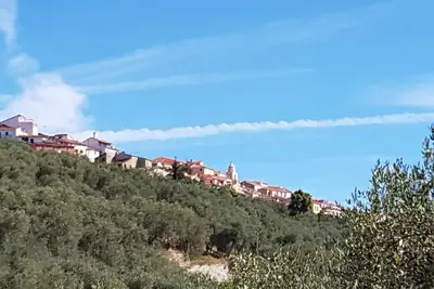 Image de bel appartement voûté dans maison historique avec grande terrasse
