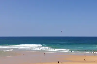 Image de Piscine et jardin arboré 3 min Golf Hossegor et 5 min du Centre (en voiture)