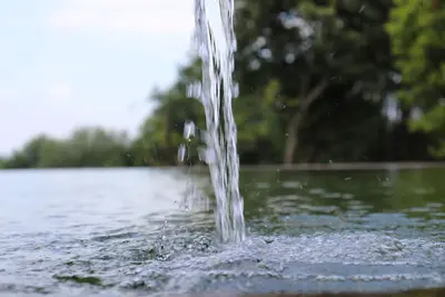 Image de Repos dans le parc - Cazal da Lamella