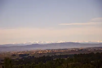 Image de La Petite Cigale au bord de Cesseras dans un cadre naturel de romarin