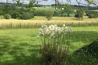 Image de Vous cherchez un chalet confortable dans la région paisible de Dordogne / Charente? Tu l'as trouvé.