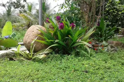 Image de Résidence Koratuwa - Private Country Hideaway