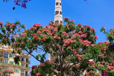 Casco Antiguo Picasso Malaga-Zone