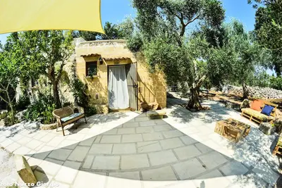 Pajara de Bianca entourée d'oliviers