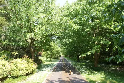 Image de Propriété de 5 chambres avec piscine dans un jardin privé de 15 acres en bordure du joli village