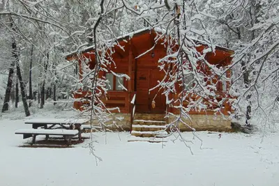 Image de El Llano de los Conejos Cabines - Cabane 6