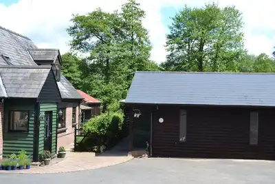 Image de Bergeronnette