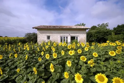 Image de Site exceptionnel pour ceux qui aiment la campagne, la nature, le calme, la paix