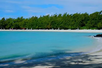 Image de Anahita luxury apartment overlooking the golf and off Ile aux Cerfs