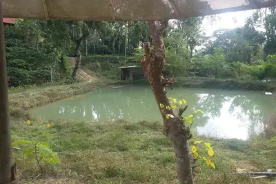 Image de Cafés chez l'habitant et chalets