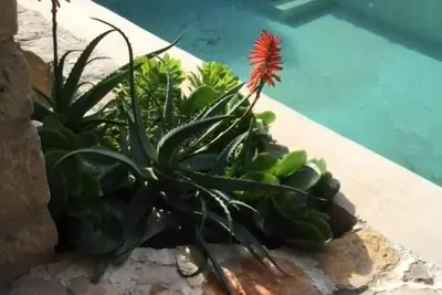 Image de Appartement 4 Pièces dans authentique  villa de style niçois avec piscine