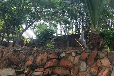 Image de Cashan Holiday Home - Une maison de location avec une touche d'expérience africaine authentique