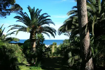 Image de Rare, maison de charme les pieds dans l'eau, au mourillon, grand jardin clos