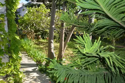 Image de Entre verdure et mer - maison de vacances