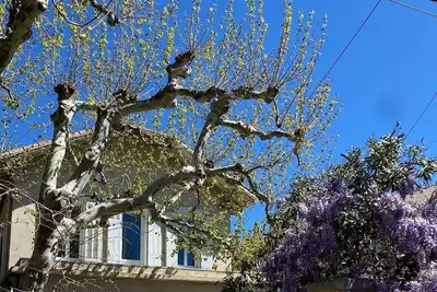 Image de Maison avec jardin Marseille Pointe Rouge proche plages